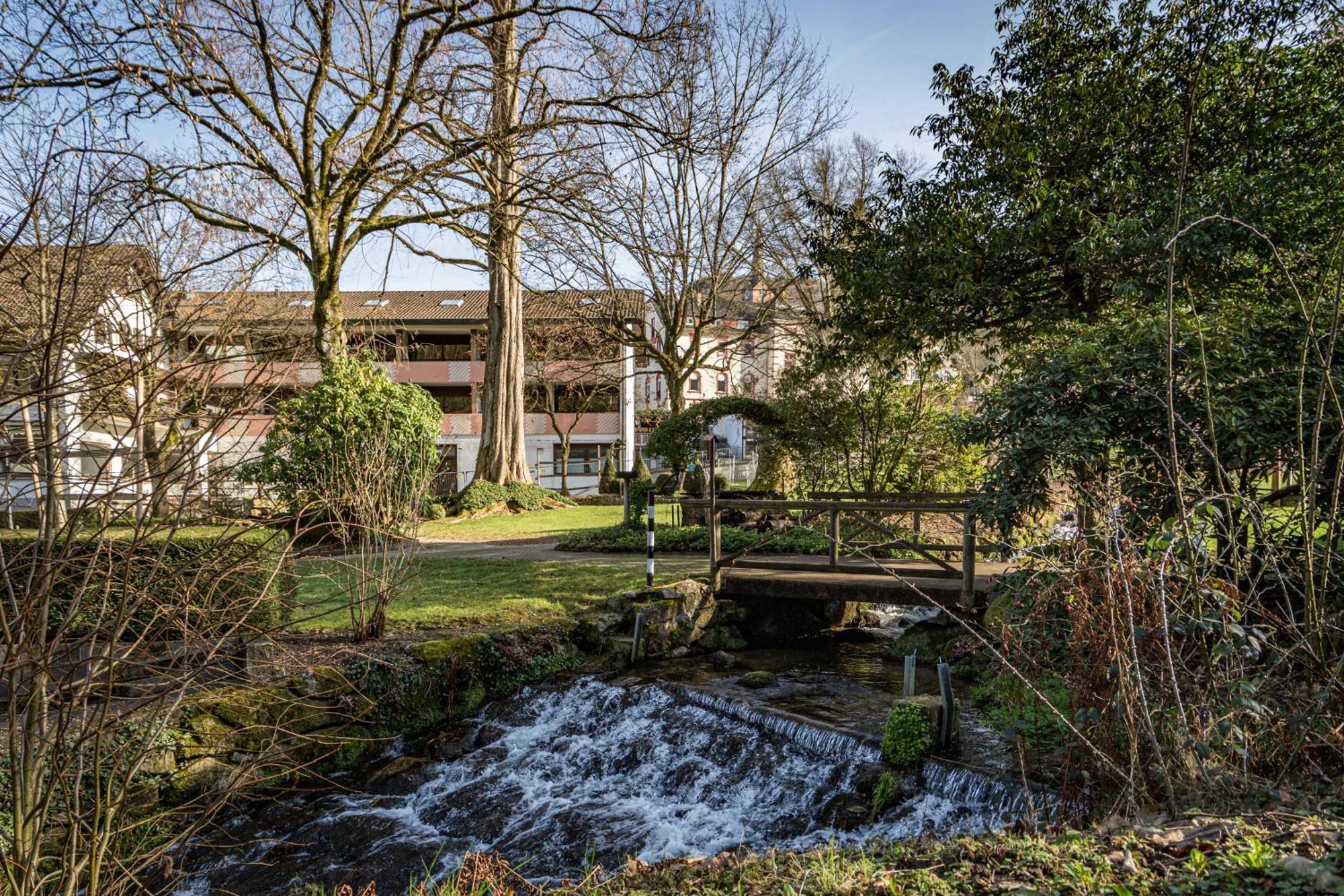 Living Timeless - Adler Apartments Sasbachwalden Kültér fotó