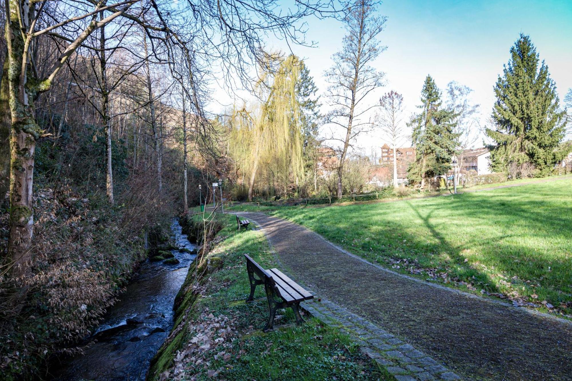 Living Timeless - Adler Apartments Sasbachwalden Kültér fotó