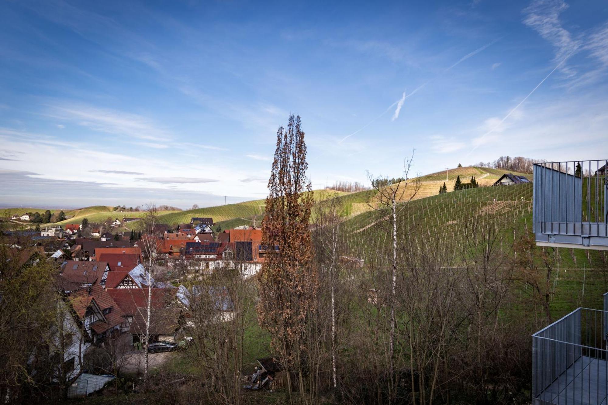 Living Timeless - Adler Apartments Sasbachwalden Kültér fotó