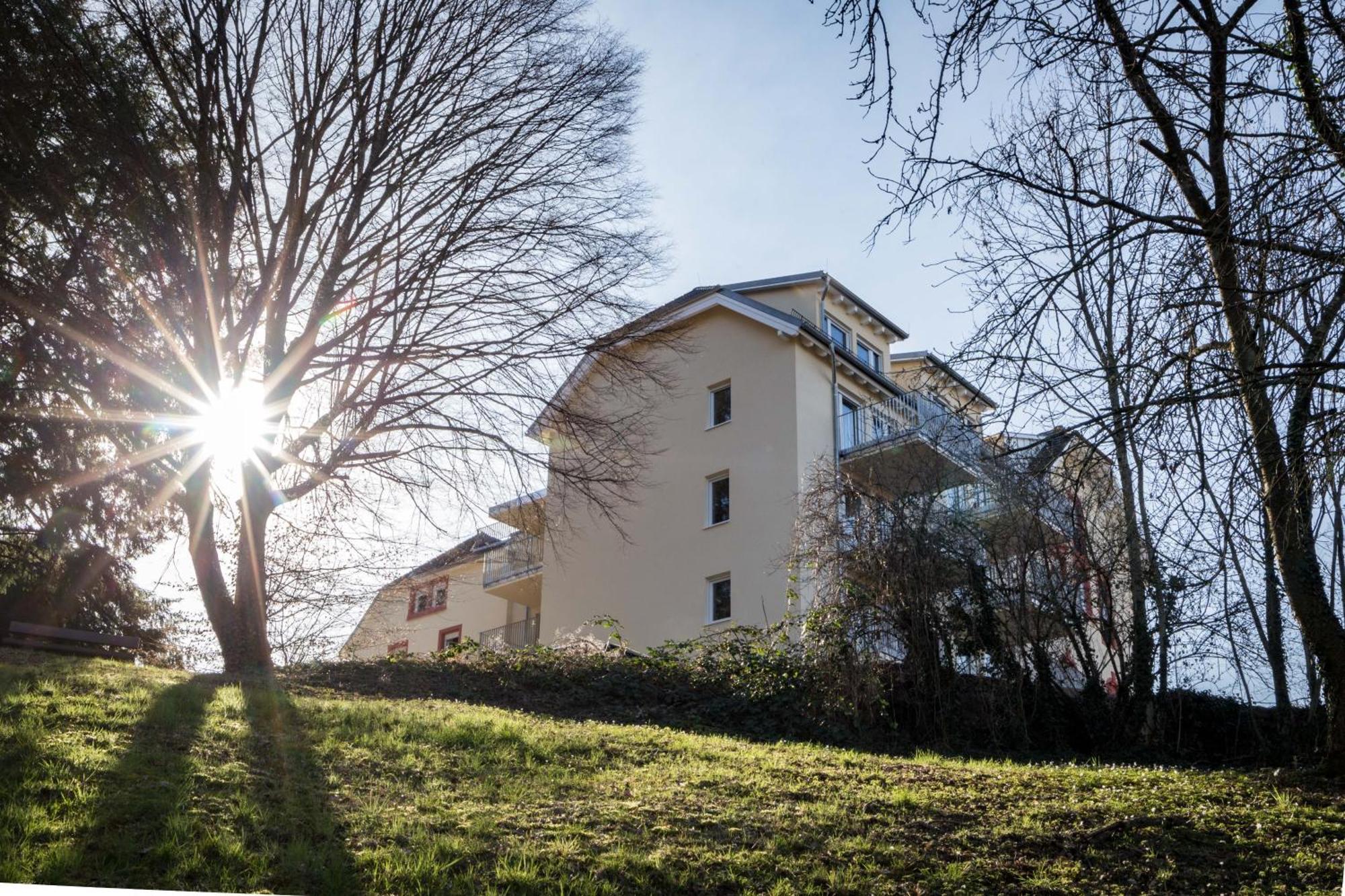 Living Timeless - Adler Apartments Sasbachwalden Kültér fotó